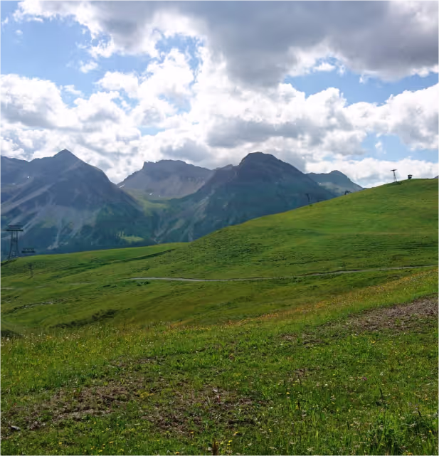 Sommerliche Berglandschaft rund um Arosa